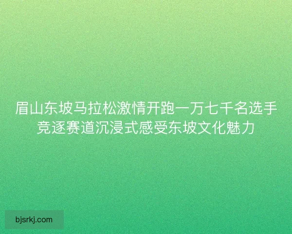 眉山东坡马拉松激情开跑一万七千名选手竞逐赛道沉浸式感受东坡文化魅力