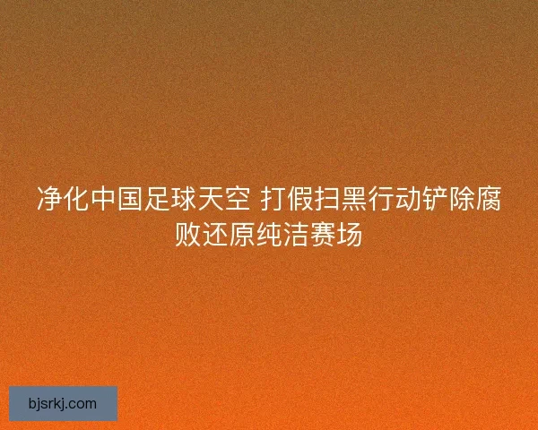 净化中国足球天空 打假扫黑行动铲除腐败还原纯洁赛场